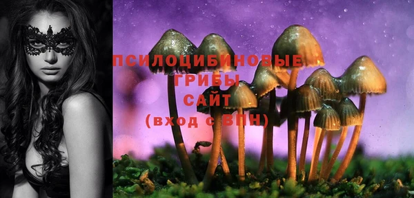 МДПВ Абинск
