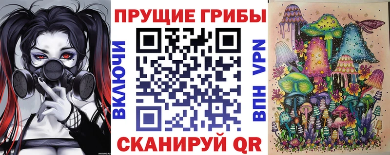 blacksprut зеркало  Карасук  Галлюциногенные грибы прущие грибы 